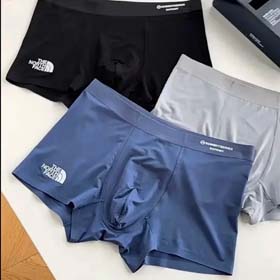 DESCENTE LAPERLA patagonia Burberry The North Face Chrome Hearts Men's shorts-1600